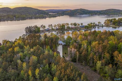 1170 Mohawk Trl, Ohatchee, AL 36271 photo 11