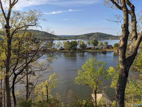 1170 Mohawk Trl, Ohatchee, AL 36271 photo 44