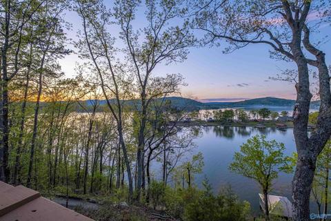 1170 Mohawk Trl, Ohatchee, AL 36271 photo 41