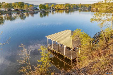 1170 Mohawk Trl, Ohatchee, AL 36271 photo 5