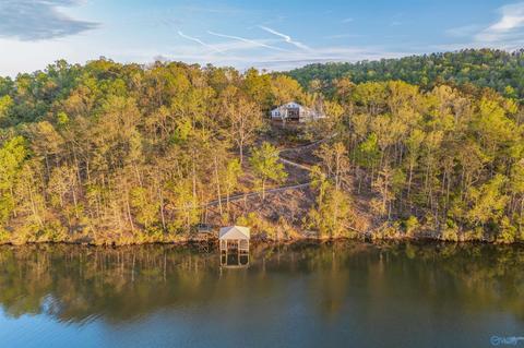 1170 Mohawk Trl, Ohatchee, AL 36271 photo 8