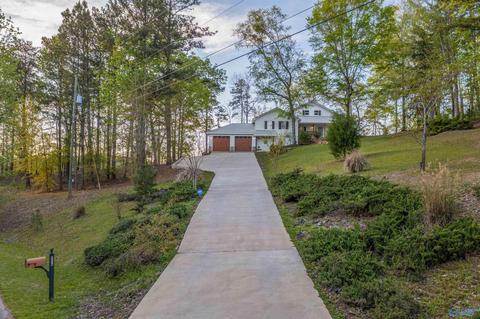 1170 Mohawk Trl, Ohatchee, AL 36271 photo 2