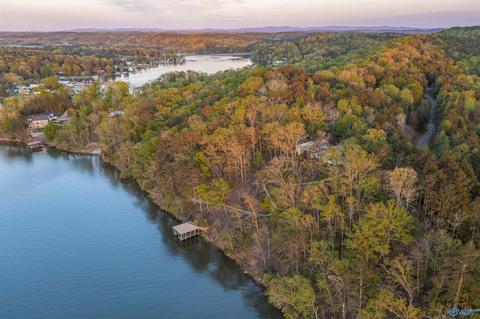 1170 Mohawk Trl, Ohatchee, AL 36271 photo 12