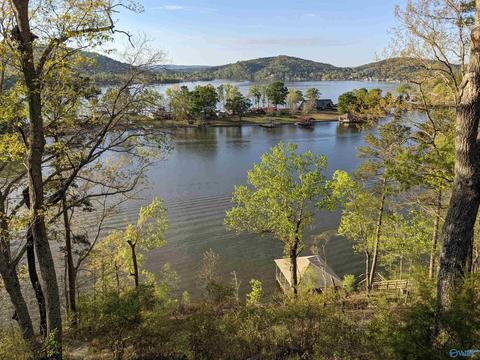 1170 Mohawk Trl, Ohatchee, AL 36271 photo 45