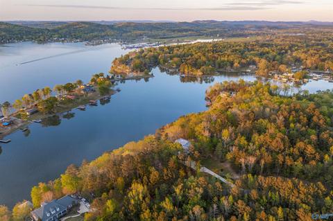 1170 Mohawk Trl, Ohatchee, AL 36271 photo 10