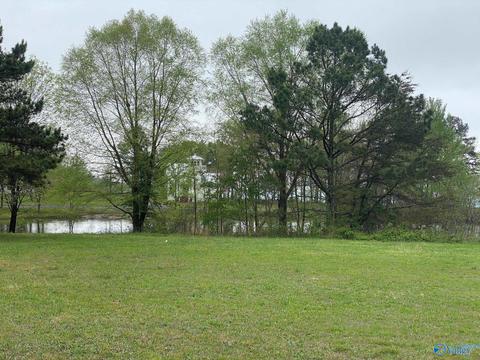 lot302 Main St, Pisgah, AL 35765