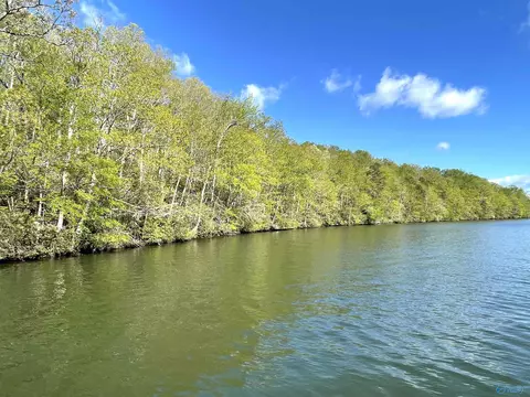 1500 Lingerlost Rd, Killen, AL 35645 photo 6