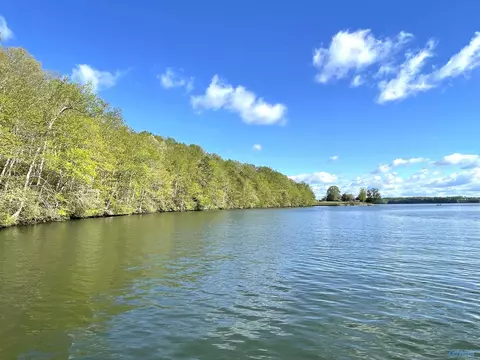 1500 Lingerlost Rd, Killen, AL 35645 photo 5