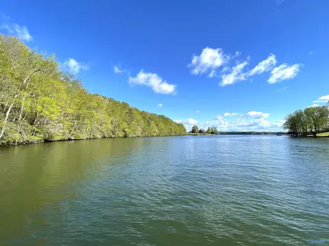 1500 Lingerlost Rd, Killen, AL 35645 photo 1