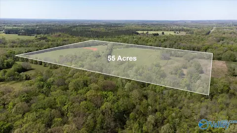 55 Acres Day St, Moulton, AL 35650