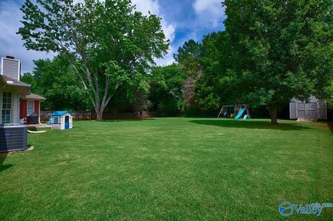 175 Raspberry Way, Madison, AL 35757 photo 3