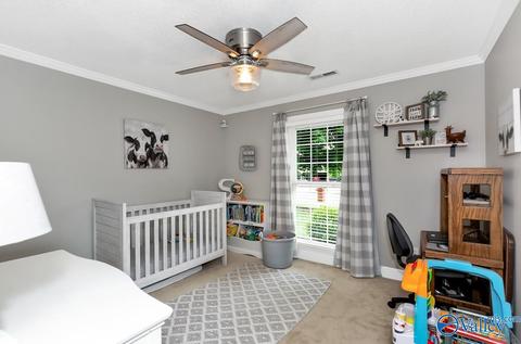 175 Raspberry Way, Madison, AL 35757 photo 15