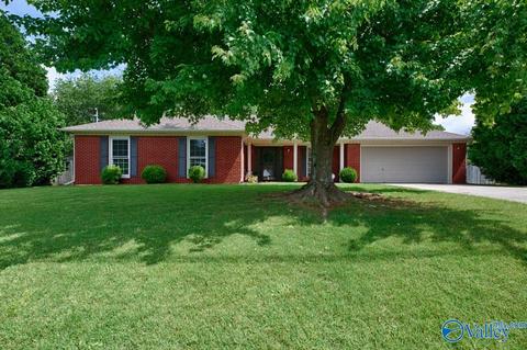 175 Raspberry Way, Madison, AL 35757 photo 2