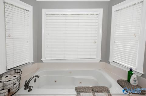 175 Raspberry Way, Madison, AL 35757 photo 13