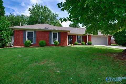 175 Raspberry Way, Madison, AL 35757 photo 1