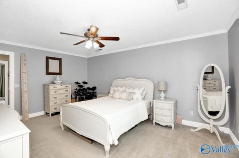 175 Raspberry Way, Madison, AL 35757 photo 11