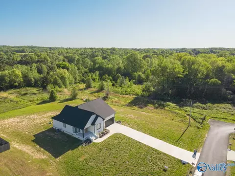 16 Lashae Loop, Grant, AL 35747 photo 28