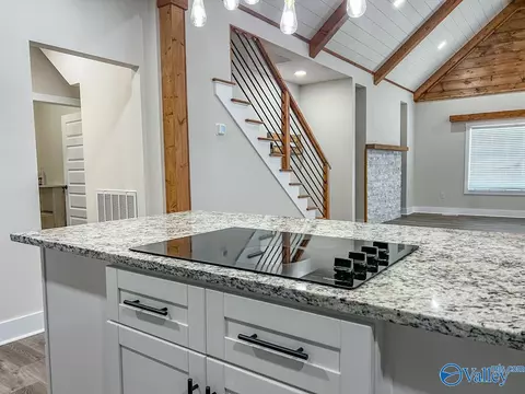 16 Lashae Loop, Grant, AL 35747 photo 5