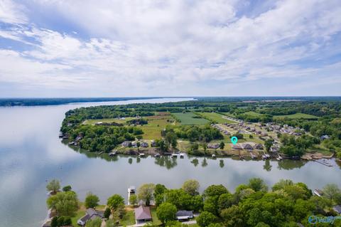 118 Pointe Dr, Killen, AL 35645 photo 44