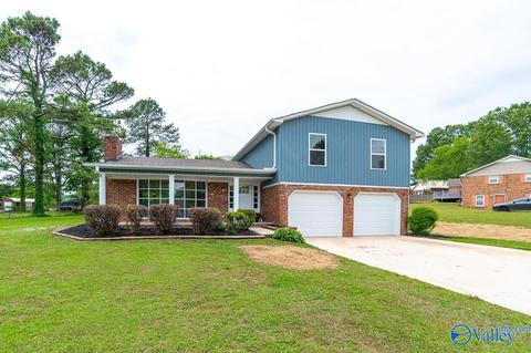 60 Meadowview Dr, Trinity, AL 35673 photo 1
