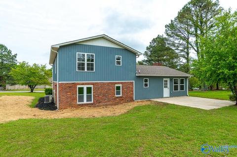 60 Meadowview Dr, Trinity, AL 35673 photo 38