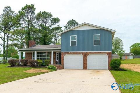 60 Meadowview Dr, Trinity, AL 35673 photo 2