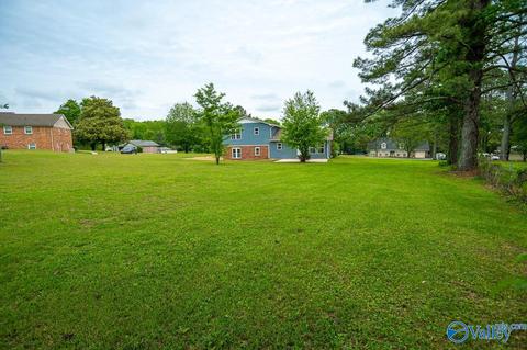 60 Meadowview Dr, Trinity, AL 35673 photo 35