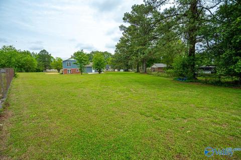 60 Meadowview Dr, Trinity, AL 35673 photo 34