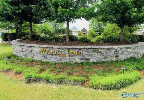 151 Willow Point Dr, Ohatchee, AL 36271 photo 50
