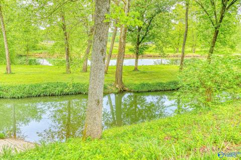 367 County Road 416, Killen, AL 35645 photo 30