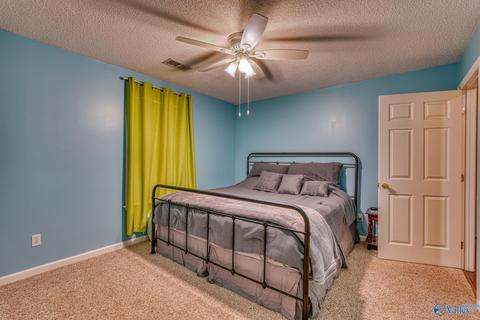 367 County Road 416, Killen, AL 35645 photo 12