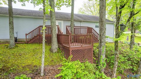 367 County Road 416, Killen, AL 35645 photo 47