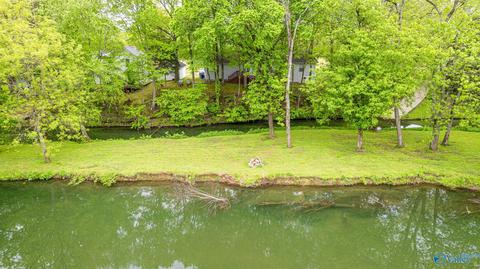 367 County Road 416, Killen, AL 35645 photo 43