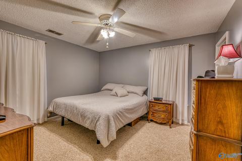 367 County Road 416, Killen, AL 35645 photo 13