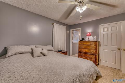 367 County Road 416, Killen, AL 35645 photo 14