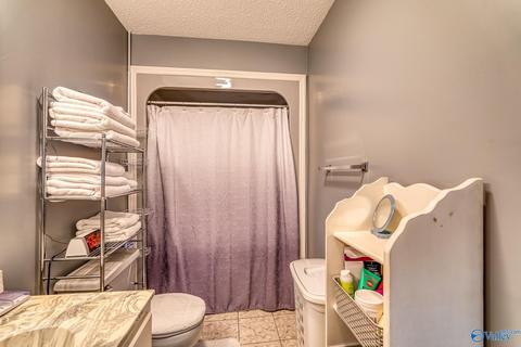 367 County Road 416, Killen, AL 35645 photo 16