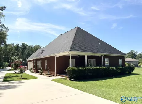 3136 County Road 217, Trinity, AL 35673 photo 25