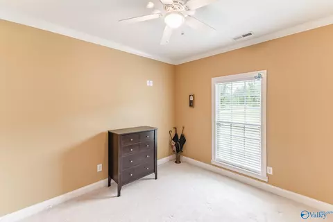 3136 County Road 217, Trinity, AL 35673 photo 15