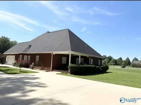 3136 County Road 217, Trinity, AL 35673 photo 24