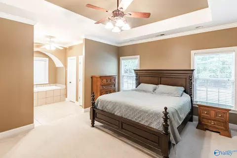 3136 County Road 217, Trinity, AL 35673 photo 16
