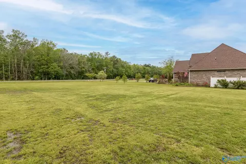 3136 County Road 217, Trinity, AL 35673 photo 34