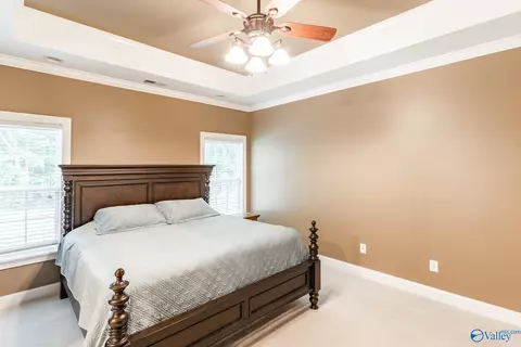 3136 County Road 217, Trinity, AL 35673 photo 17