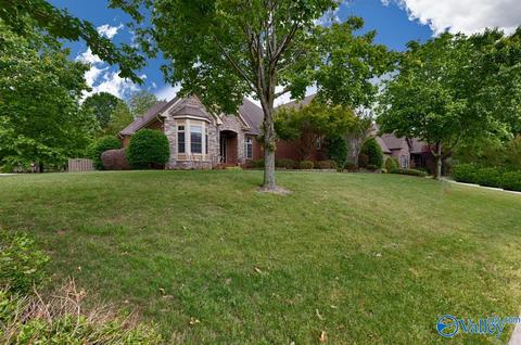 125 Appleton Ln, Madison, AL 35756 photo 4