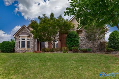 125 Appleton Ln, Madison, AL 35756 photo 2