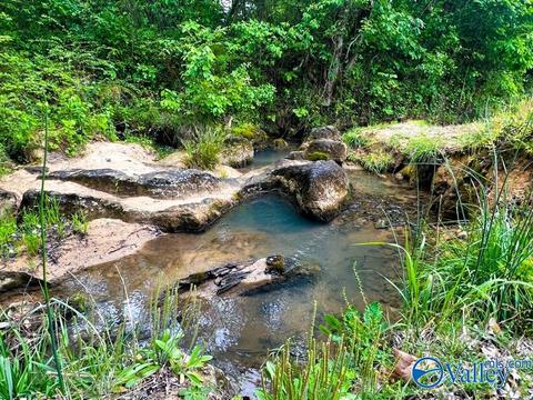 186 Hidden Creek Dr, Trinity, AL 35673 photo 16