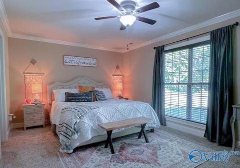 186 Hidden Creek Dr, Trinity, AL 35673 photo 8