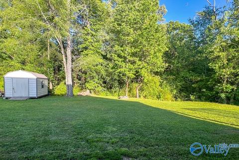 186 Hidden Creek Dr, Trinity, AL 35673 photo 17