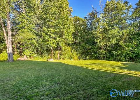 186 Hidden Creek Dr, Trinity, AL 35673 photo 18