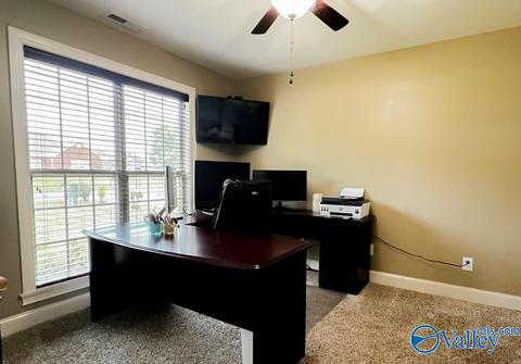 186 Hidden Creek Dr, Trinity, AL 35673 photo 12