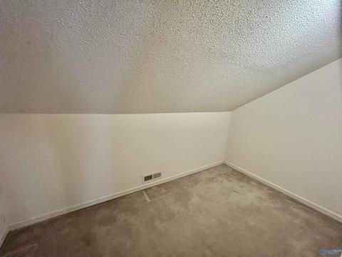 131 County Road 379, Trinity, AL 35673 photo 20